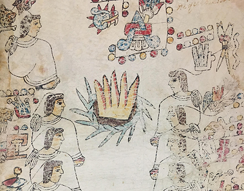 Detail of Codex Tulane.